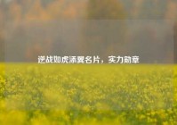 逆战如虎添翼名片，实力勋章