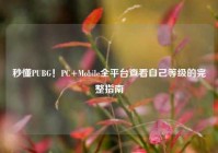 秒懂PUBG！PC+Mobile全平台查看自己等级的完整指南