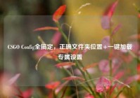 CSGO Config全搞定，正确文件夹位置+一键加载专属设置
