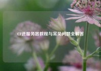 CF进服务器教程与常见问题全解答