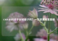 CSGO B5对战平台掉箱子吗？一文讲清掉落真相