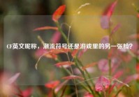 CF英文昵称，潮流符号还是游戏里的另一张脸？