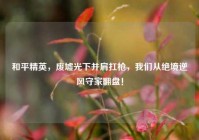 和平精英，废墟光下并肩扛枪，我们从绝境逆风守家翻盘！