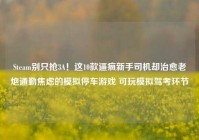 Steam别只抢3A！这10款逼疯新手司机却治愈老炮通勤焦虑的模拟停车游戏 可玩模拟驾考环节