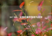 2017 NBK，法国巨星的转型与沉浮