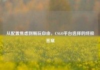 从配置焦虑到畅玩自由，CSGO平台选择的终极答案