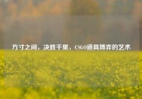 方寸之间，决胜千里，CSGO道具博弈的艺术