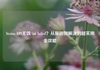 Steam API无效/int failed？从原因到解决的超实用全攻略