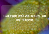 PUBG跨区通用！游戏外战绩、账号状态、皮肤信息一键查询攻略