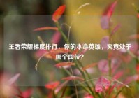 王者荣耀梯度排行，你的本命英雄，究竟处于哪个段位？