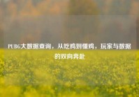 PUBG大数据查询，从吃鸡到懂鸡，玩家与数据的双向奔赴