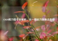 CSGO挥刀指令全解析，从一键出刀到身法连招