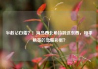 半截沾白霜？！海岛西北角捡到这东西，和平精英的隐藏彩蛋？