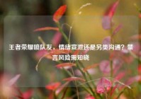 王者荣耀喷队友，情绪宣泄还是另类沟通？禁言风险需知晓