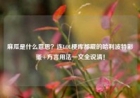 麻瓜是什么意思？连LOL梗库都藏的哈利波特彩蛋+方言用法一文全说清！
