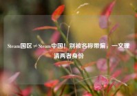Steam国区≠Steam中国！别被名称带偏，一文理清两者身份
