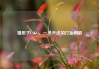 猫胆子CSGO，一场未遂的打胎闹剧