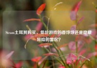 Steam土耳其购买，低价游戏的香饽饽还是隐藏风险的雷区？