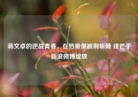 蒋文卓的逆战青春，在热爱里披荆斩棘 锋芒于新浪微博绽放