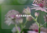 枪火余温散尽时