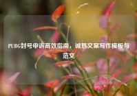 PUBG封号申诉高效指南，诚恳文案写作模板与范文