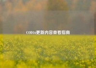 COD16更新内容查看指南
