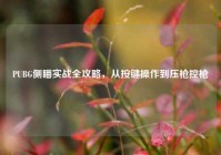 PUBG侧瞄实战全攻略，从按键操作到压枪控枪