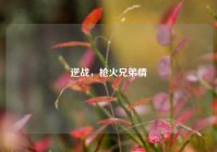 逆战，枪火兄弟情