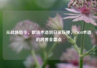 从战场指令、职场术语到日常玩梗，CSGO术语的跨界全盘点