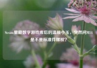 Steam里藏数字游戏库后的温暖小玉，突然问M14是不是标准件螺栓？