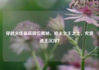穿越火线最高段位揭秘，枪王之王之上，究竟谁主沉浮？