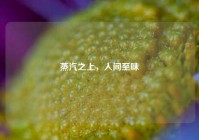 蒸汽之上，人间至味