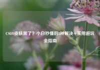 CSGO皮肤黑了？小白秒懂的3种解决+实用避坑全指南