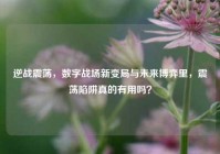 逆战震荡，数字战场新变局与未来博弈里，震荡陷阱真的有用吗？