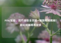PUBG宝箱，官方领取全攻略+刷新时间揭秘！避坑别漏稀有皮肤