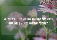 别只盯龙狙！CSGO里那道烫眼却藏着热爱的「橙色边框」，才是硬核老粉的白月光
