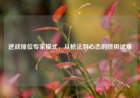 逆战排位专家模式，从枪法到心态的终极试炼