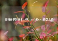 青训弃子到战术大师，alexib的CSGO逆袭之路