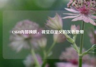 CSGO内部换肤，视觉自定义的灰色地带