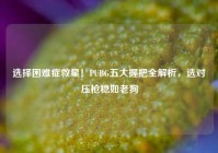 选择困难症救星！PUBG五大握把全解析，选对压枪稳如老狗