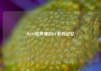 M4A1枪声里的CF老兵记忆