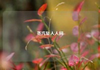 蒸汽坠入人间