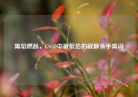 黑焰燃起，CSGO中被低估的寂静杀手黑闪