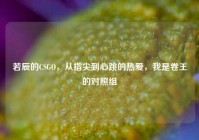 若辰的CSGO，从指尖到心跳的热爱，我是卷王的对照组