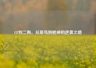 CF刘二狗，从菜鸟到枪神的逆袭之路
