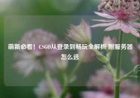 萌新必看！CSGO从登录到畅玩全解析 附服务器怎么选
