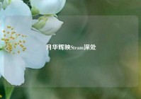 月华辉映Steam深处