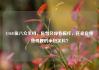 CSGO鱼八众生相，是曾经你我模样，还是自带鱼哥梗的永恒笑料？