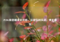 PUBG屏息瞄准全攻略，从键位到实战，弹无虚发