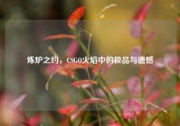 炼炉之约，CSGO火焰中的极品与遗憾
